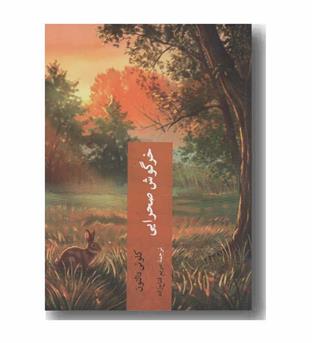 خرگوش صحرایی