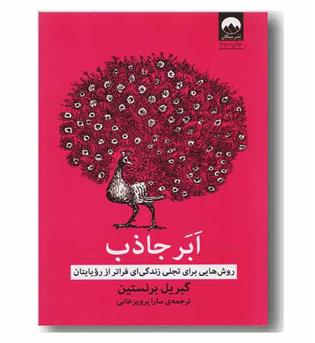 ابر جاذب 