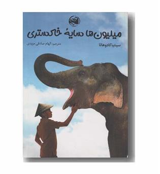 میلیون ها سایه خاکستری